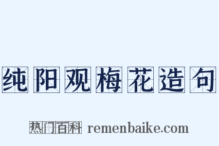 纯阳观梅花造句是什么意思的图片